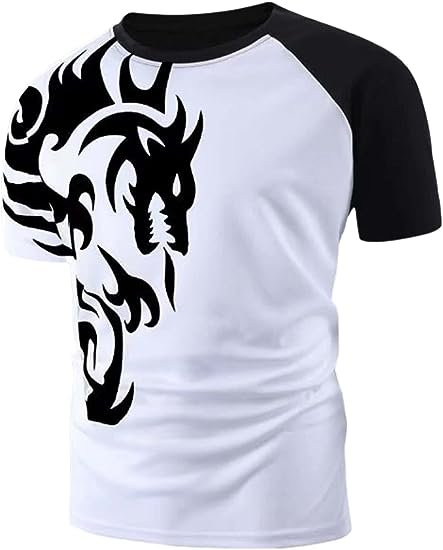 Men's Casual Dragon Graphic Print Colorblock Short Sleeve Round Tee Shirts